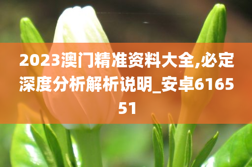 2023澳门精准资料大全,必定深度分析解析说明_安卓616551