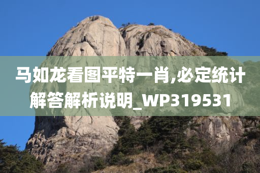 马如龙看图平特一肖,必定统计解答解析说明_WP319531