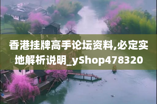 香港挂牌高手论坛资料,必定实地解析说明_yShop478320