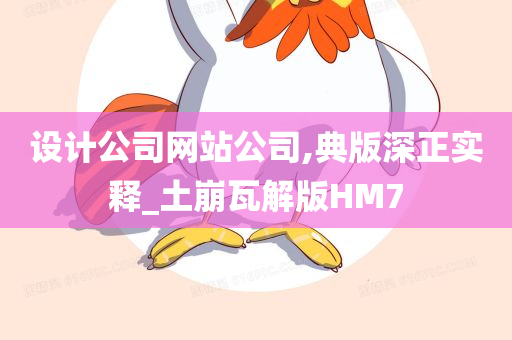 设计公司网站