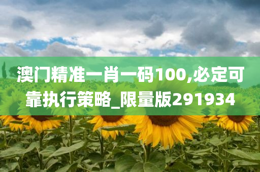 澳门精准一肖一码100,必定可靠执行策略_限量版291934