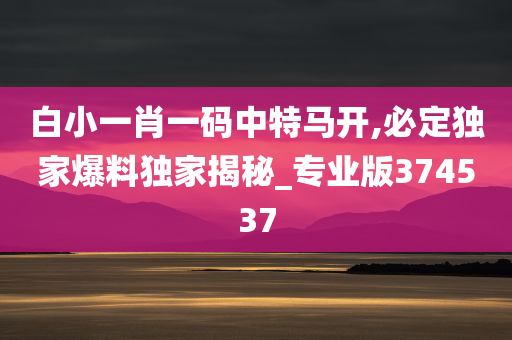 白小一肖一码中特马开,必定独家爆料独家揭秘_专业版374537