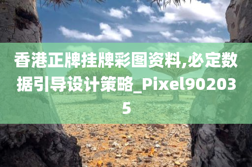 香港正牌挂牌彩图资料,必定数据引导设计策略_Pixel902035