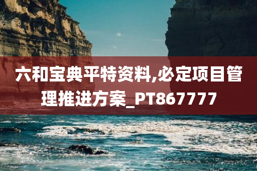 六和宝典平特资料,必定项目管理推进方案_PT867777