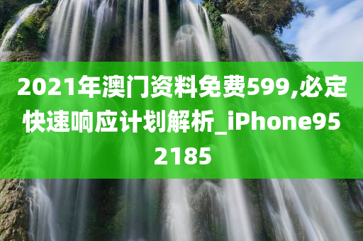 2021年澳门资料免费599,必定快速响应计划解析_iPhone952185