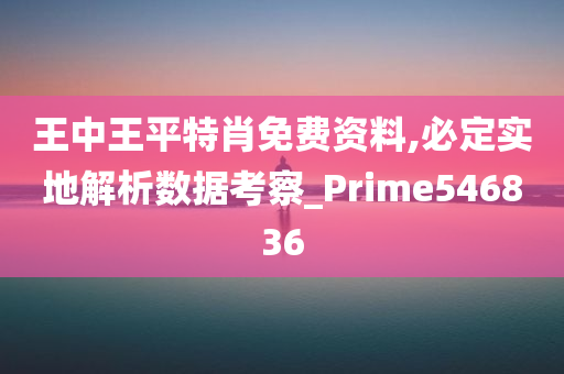 王中王平特肖免费资料,必定实地解析数据考察_Prime546836