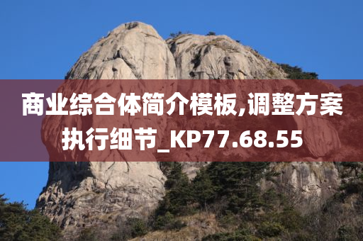 商业综合体简介模板,调整方案执行细节_KP77.68.55