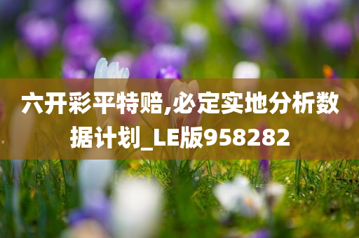 六开彩平特赔,必定实地分析数据计划_LE版958282