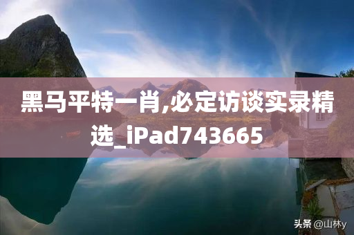 黑马平特一肖,必定访谈实录精选_iPad743665