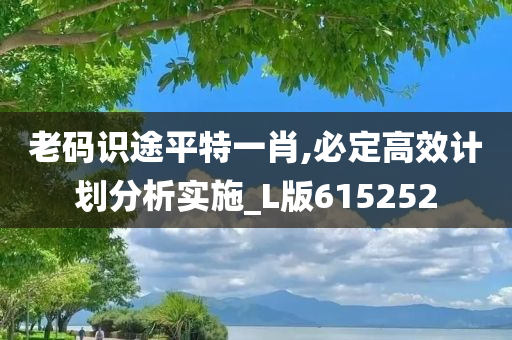 老码识途平特一肖,必定高效计划分析实施_L版615252