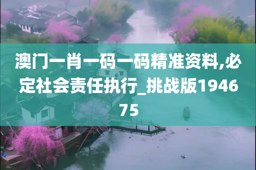 澳门一肖一码一码精准资料,必定社会责任执行_挑战版194675