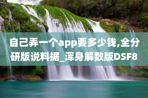 自己弄一个app要多少钱,全分研版说料据_浑身解数版DSF8