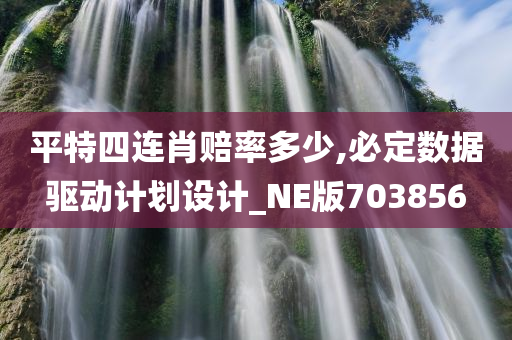 平特四连肖赔率多少,必定数据驱动计划设计_NE版703856