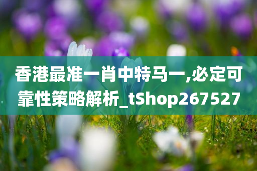 香港最准一肖中特马一,必定可靠性策略解析_tShop267527