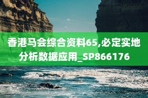 香港马会综合资料65,必定实地分析数据应用_SP866176