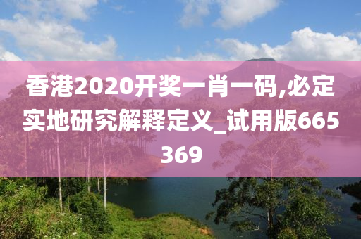 香港2020开奖一肖一码,必定实地研究解释定义_试用版665369