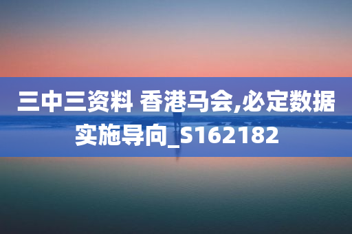 三中三资料 香港马会,必定数据实施导向_S162182