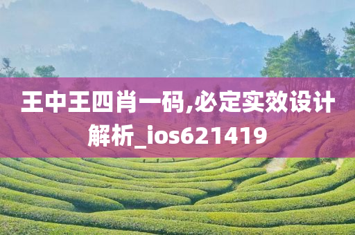 王中王四肖一码,必定实效设计解析_ios621419