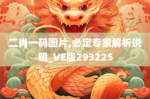 二肖一码图片,必定专家解析说明_VE版293225