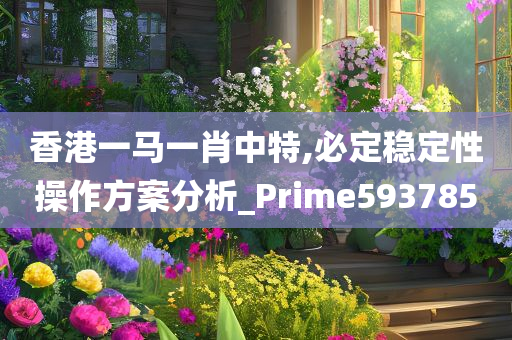 香港一马一肖中特,必定稳定性操作方案分析_Prime593785