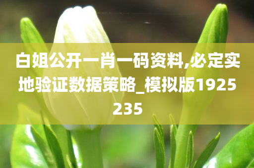 白姐公开一肖一码资料,必定实地验证数据策略_模拟版1925235