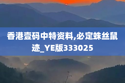 香港壹码中特资料,必定蛛丝鼠迹_YE版333025