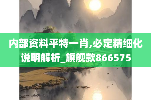 内部资料平特一肖,必定精细化说明解析_旗舰款866575