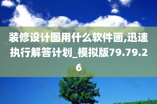 装修设计图用什么软件画,迅速执行解答计划_模拟版79.79.26