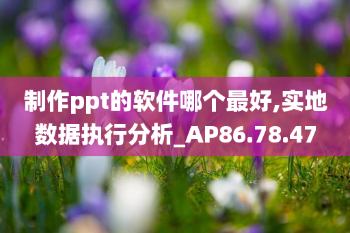 制作ppt的软件哪个最好,实地数据执行分析_AP86.78.47