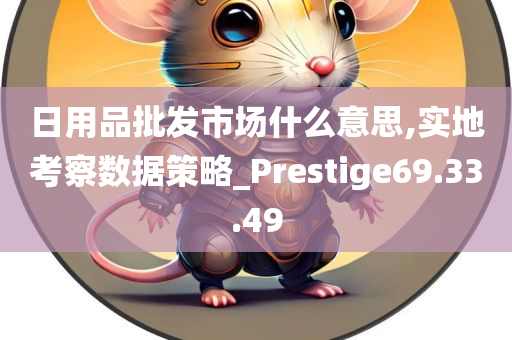 日用品批发市场什么意思,实地考察数据策略_Prestige69.33.49