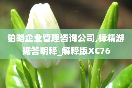 铂略企业管理咨询公司,标精游据答明释_解释版XC76