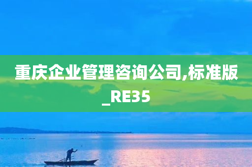 重庆企业管理咨询公司,标准版_RE35