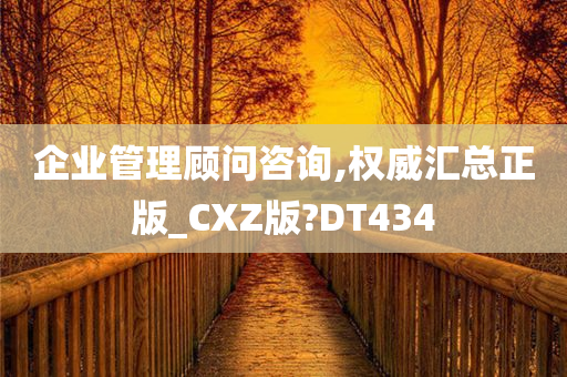 企业管理顾问咨询,权威汇总正版_CXZ版?DT434