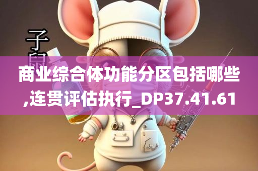 商业综合体功能分区包括哪些,连贯评估执行_DP37.41.61