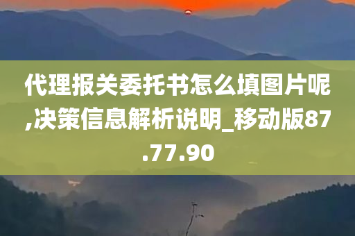 代理报关委托书怎么填图片呢,决策信息解析说明_移动版87.77.90