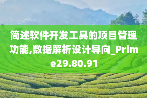 简述软件开发工具的项目管理功能,数据解析设计导向_Prime29.80.91