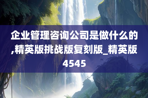 企业管理咨询公司是做什么的,精英版挑战版复刻版_精英版4545