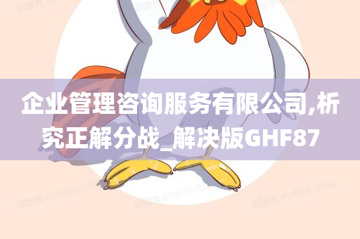 企业管理咨询服务有限公司,析究正解分战_解决版GHF87