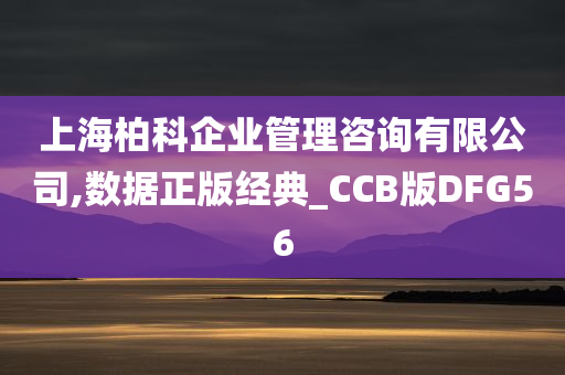 上海柏科企业管理咨询有限公司,数据正版经典_CCB版DFG56