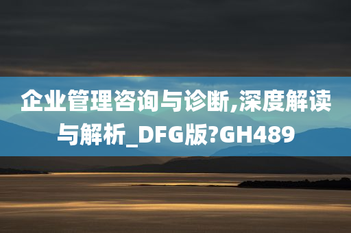 企业管理咨询与诊断,深度解读与解析_DFG版?GH489