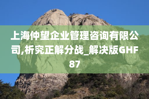 上海仲望企业管理咨询有限公司,析究正解分战_解决版GHF87