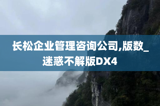 长松企业管理咨询公司,版数_迷惑不解版DX4