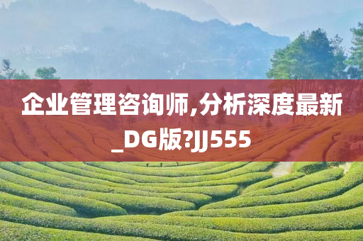 企业管理咨询师,分析深度最新_DG版?JJ555