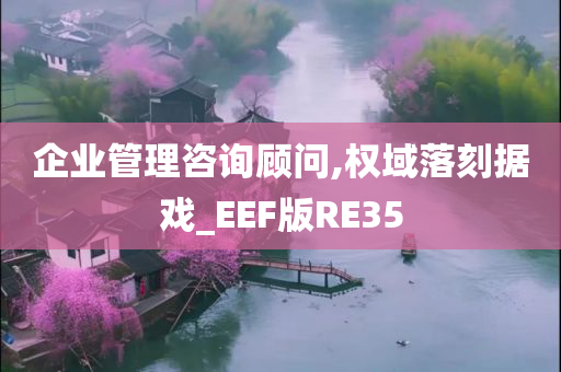 企业管理咨询顾问,权域落刻据戏_EEF版RE35