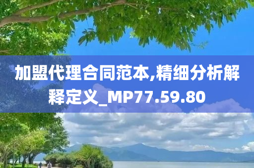 加盟代理合同范本,精细分析解释定义_MP77.59.80