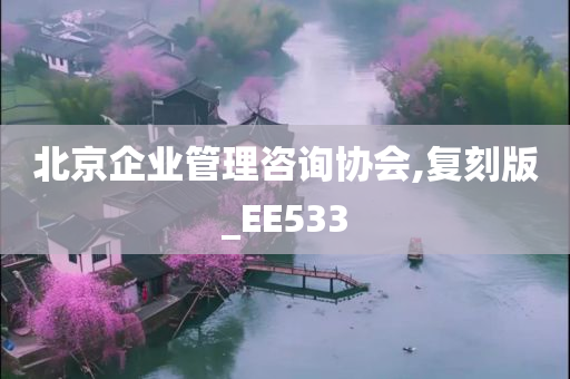 北京企业管理咨询协会,复刻版_EE533