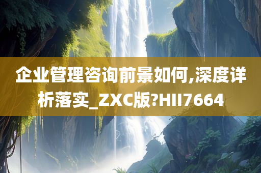 企业管理咨询前景如何,深度详析落实_ZXC版?HII7664