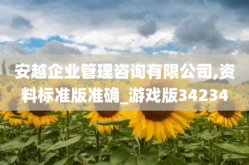 安越企业管理咨询有限公司,资料标准版准确_游戏版34234