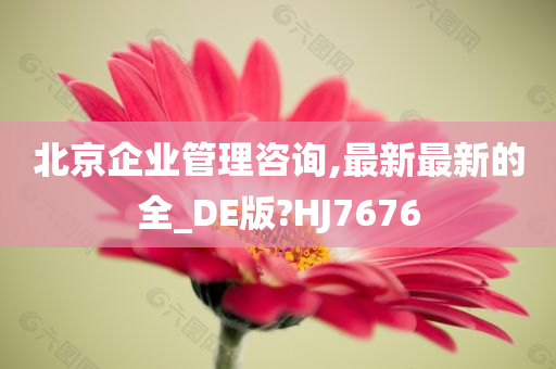 北京企业管理咨询,最新最新的全_DE版?HJ7676