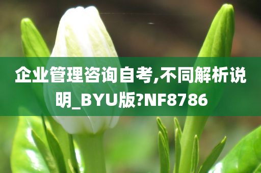 企业管理咨询自考,不同解析说明_BYU版?NF8786